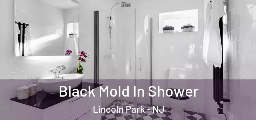 Black Mold In Shower Lincoln Park - NJ
