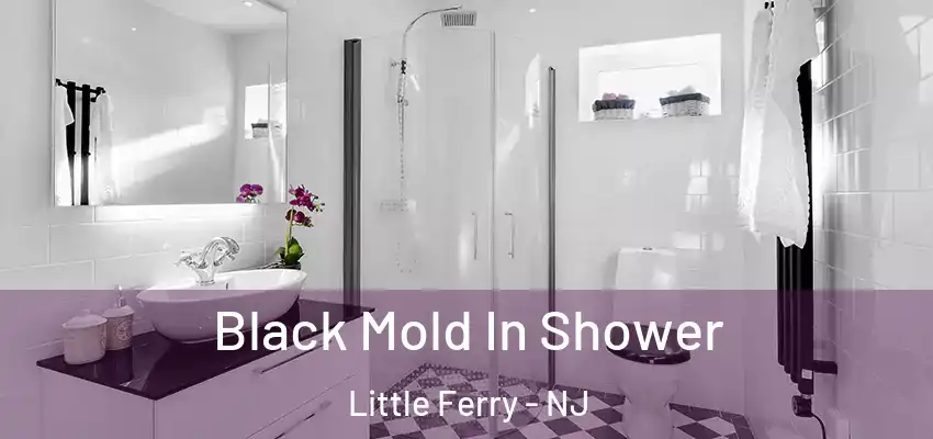 Black Mold In Shower Little Ferry - NJ
