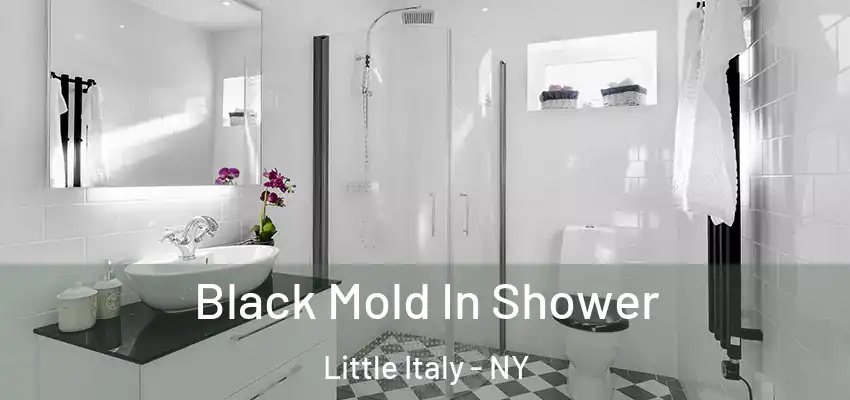 Black Mold In Shower Little Italy - NY