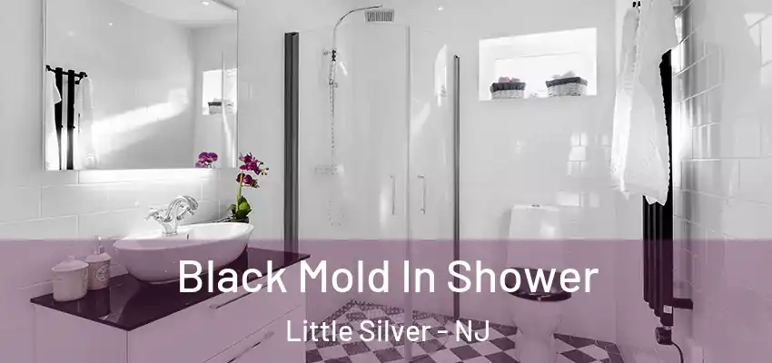  Black Mold In Shower Little Silver - NJ