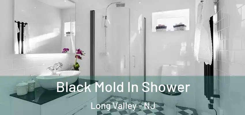 Black Mold In Shower Long Valley - NJ