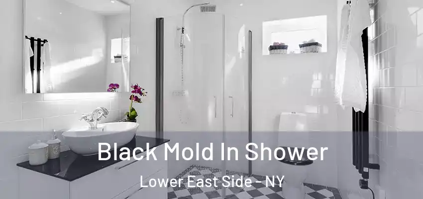 Black Mold In Shower Lower East Side - NY