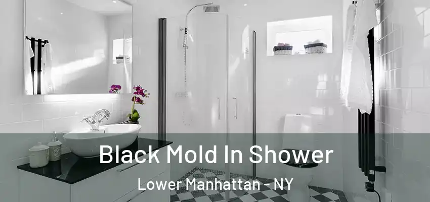 Black Mold In Shower Lower Manhattan - NY