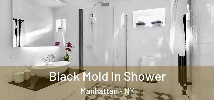  Black Mold In Shower Manhattan - NY