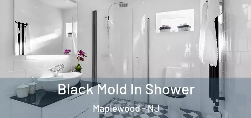 Black Mold In Shower Maplewood - NJ