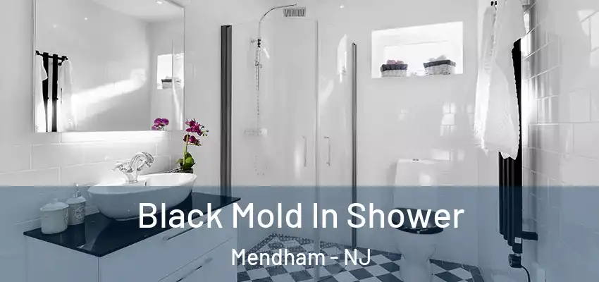  Black Mold In Shower Mendham - NJ