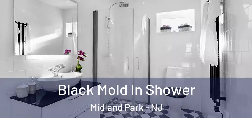 Black Mold In Shower Midland Park - NJ