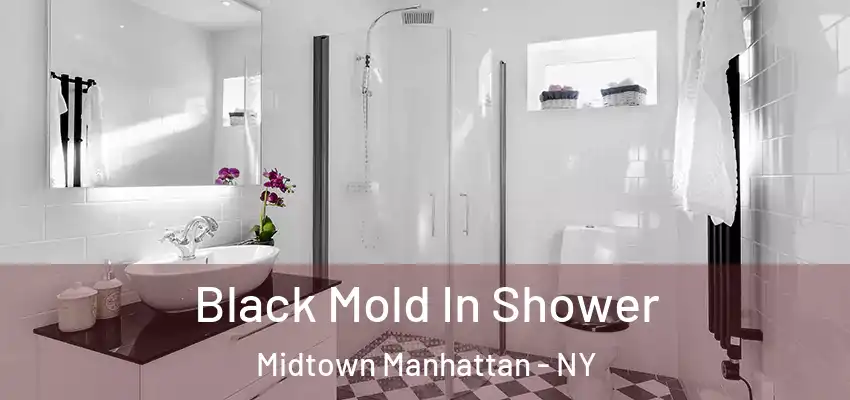 Black Mold In Shower Midtown Manhattan - NY