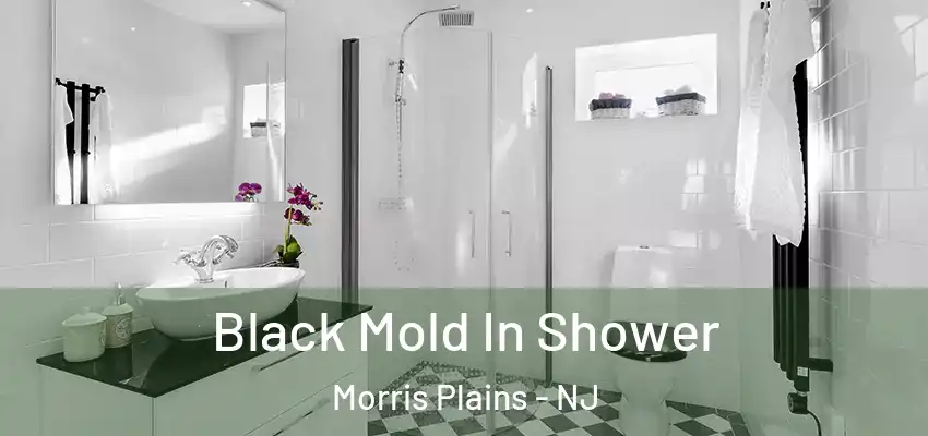 Black Mold In Shower Morris Plains - NJ