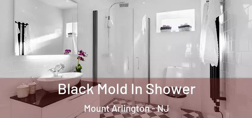 Black Mold In Shower Mount Arlington - NJ