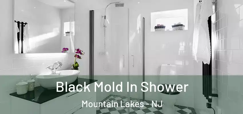 Black Mold In Shower Mountain Lakes - NJ