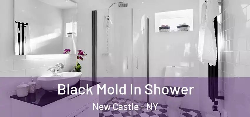 Black Mold In Shower New Castle - NY
