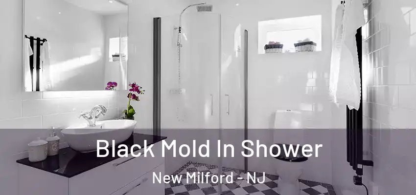 Black Mold In Shower New Milford - NJ