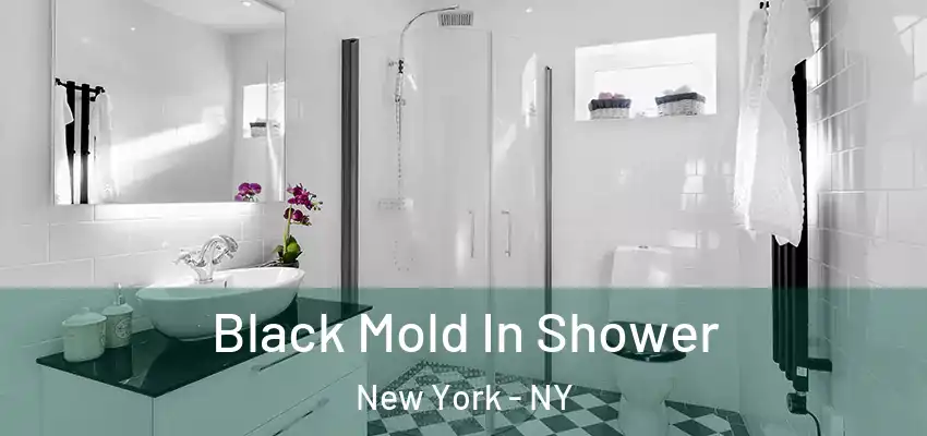 Black Mold In Shower New York - NY