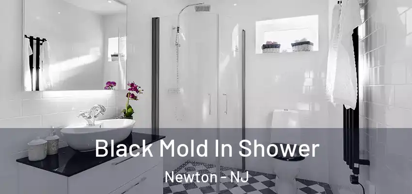 Black Mold In Shower Newton - NJ