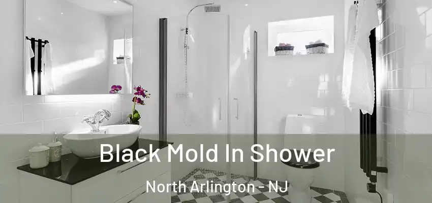 Black Mold In Shower North Arlington - NJ
