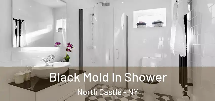 Black Mold In Shower North Castle - NY
