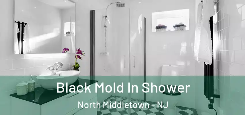  Black Mold In Shower North Middletown - NJ