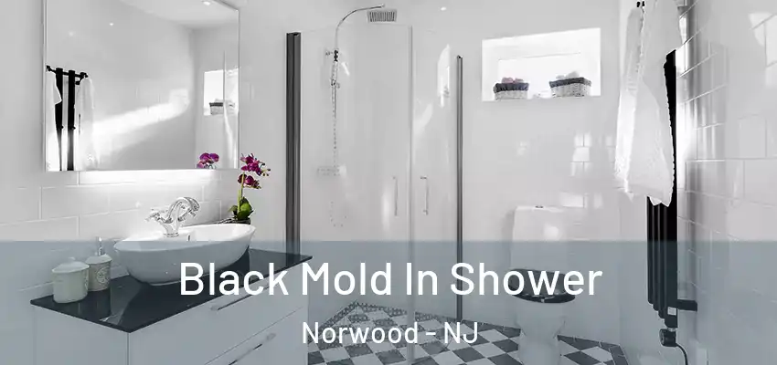 Black Mold In Shower Norwood - NJ