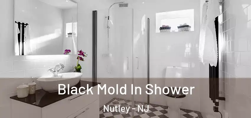 Black Mold In Shower Nutley - NJ
