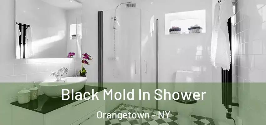  Black Mold In Shower Orangetown - NY