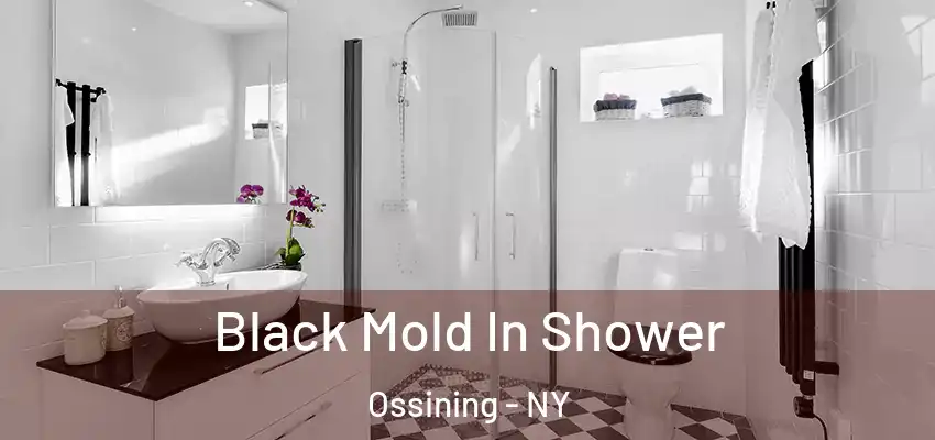  Black Mold In Shower Ossining - NY