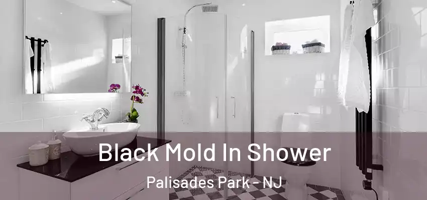 Black Mold In Shower Palisades Park - NJ