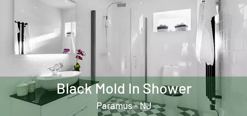 Black Mold In Shower Paramus - NJ