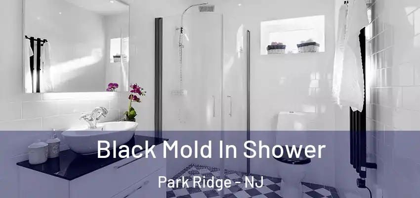  Black Mold In Shower Park Ridge - NJ