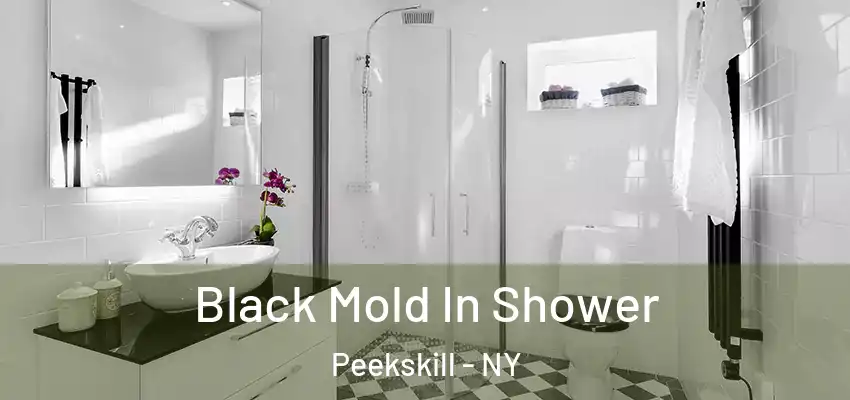  Black Mold In Shower Peekskill - NY
