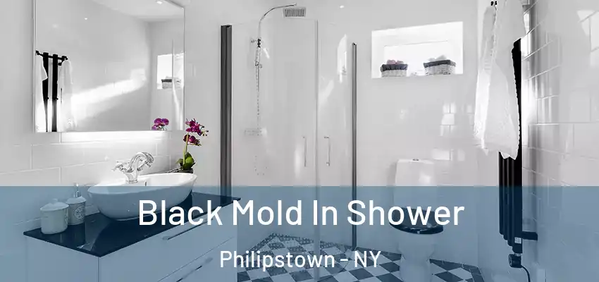 Black Mold In Shower Philipstown - NY