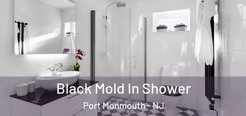 Black Mold In Shower Port Monmouth - NJ