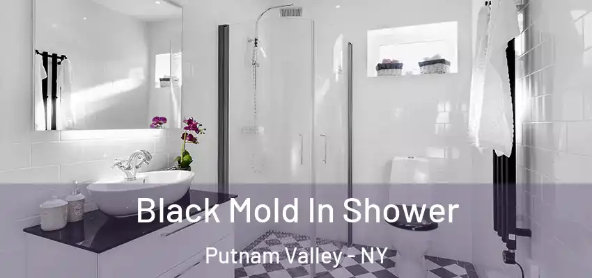 Black Mold In Shower Putnam Valley - NY