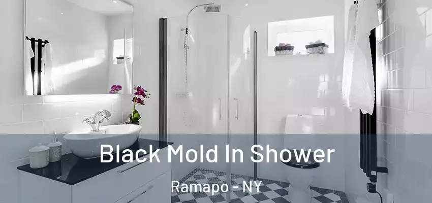 Black Mold In Shower Ramapo - NY