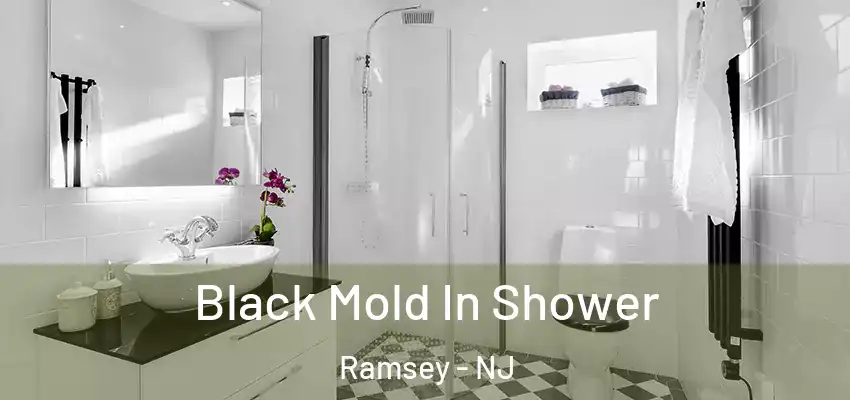 Black Mold In Shower Ramsey - NJ