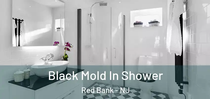 Black Mold In Shower Red Bank - NJ