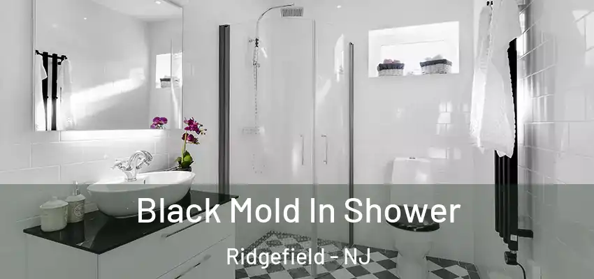 Black Mold In Shower Ridgefield - NJ