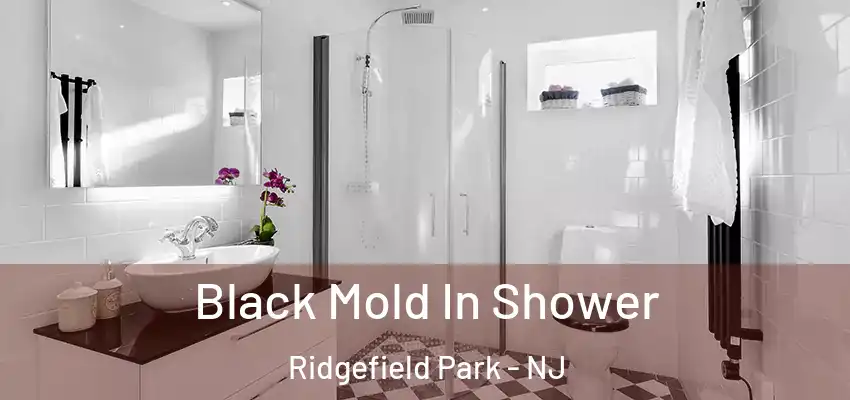 Black Mold In Shower Ridgefield Park - NJ