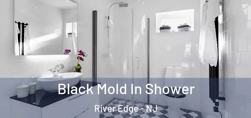 Black Mold In Shower River Edge - NJ