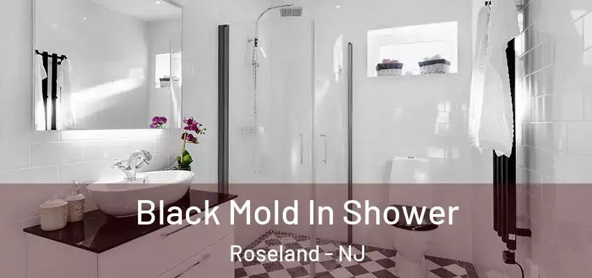 Black Mold In Shower Roseland - NJ