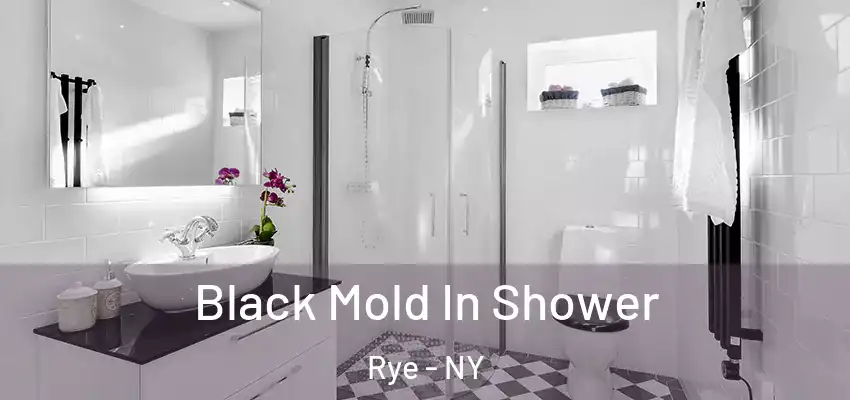 Black Mold In Shower Rye - NY