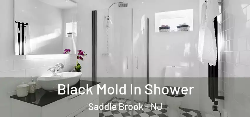  Black Mold In Shower Saddle Brook - NJ
