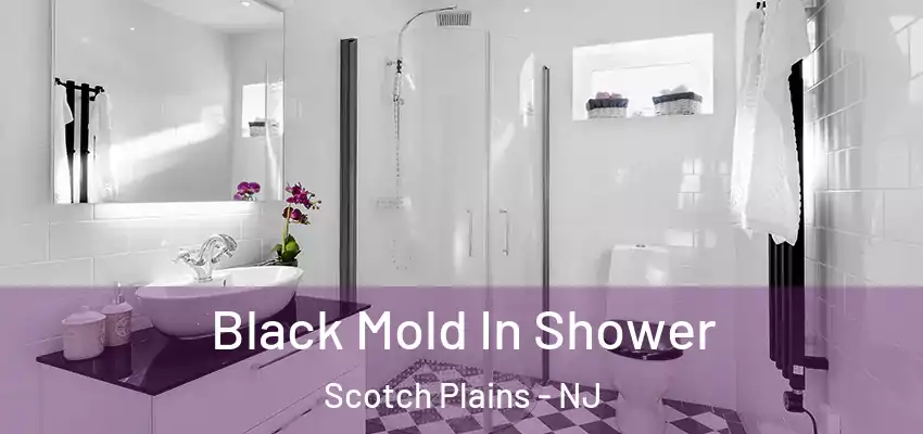  Black Mold In Shower Scotch Plains - NJ