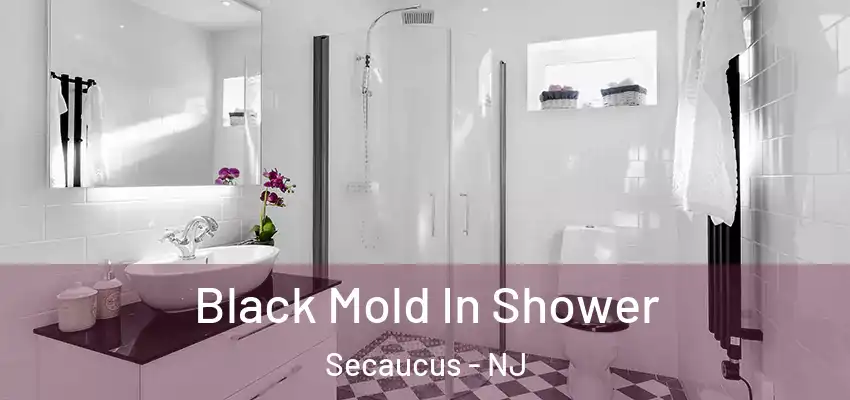 Black Mold In Shower Secaucus - NJ