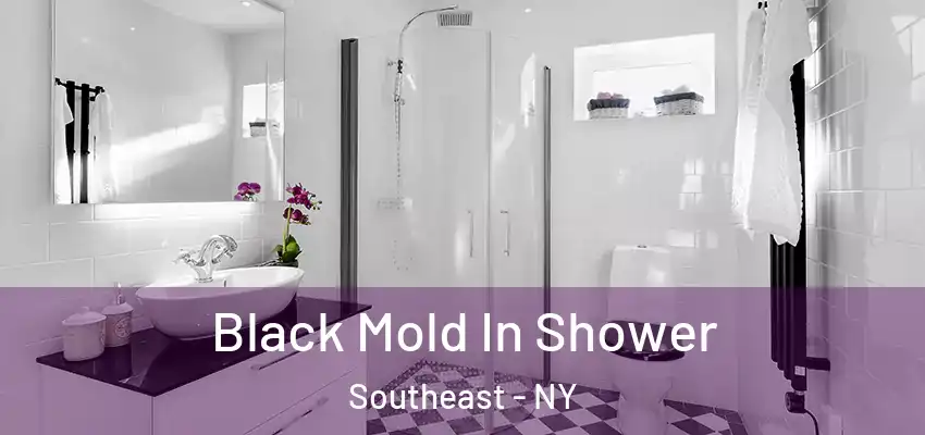 Black Mold In Shower Southeast - NY