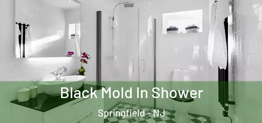  Black Mold In Shower Springfield - NJ