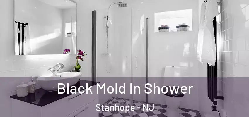Black Mold In Shower Stanhope - NJ