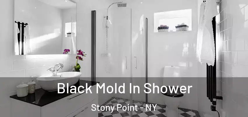  Black Mold In Shower Stony Point - NY