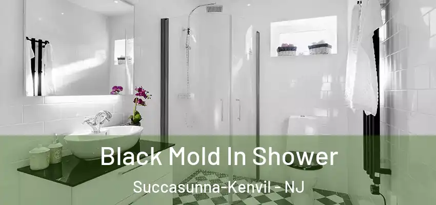 Black Mold In Shower Succasunna-Kenvil - NJ