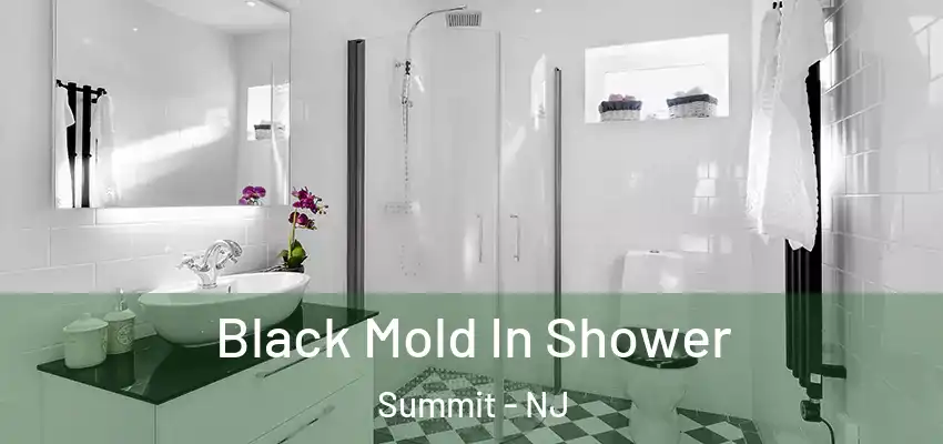 Black Mold In Shower Summit - NJ